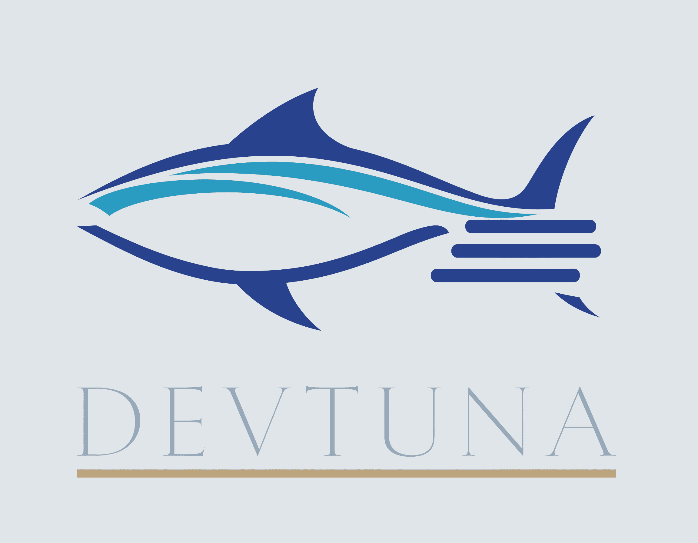개발참치 DEVTUNA 브랜드 이미지